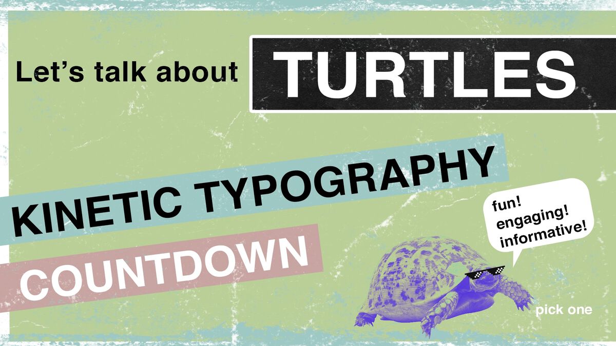 Turtle Countdown image number 0